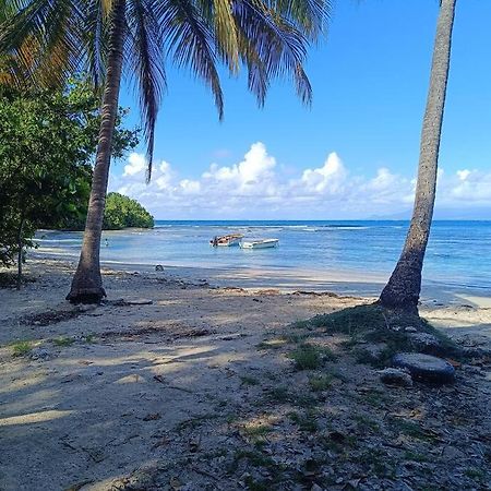 T1 Bis A Proximite De La Plage 哥西尔 外观 照片