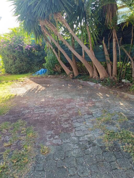 T1 Bis A Proximite De La Plage 哥西尔 外观 照片